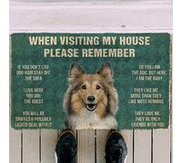 YACANNA Door Mat Indoor Outdoor Door Mat Entrance Washable Doormat Please Remember Sheltie House Rules Doormat Decor Doormat for Bedroom Porch 60x90cm