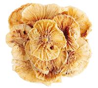 Yacon Root Organic Gourmet Quality -