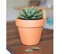Yacriso 33pc 3D Printed Push Pin Succulent Set, Olive Green, Artificial, Indoor, Cute, Fun, Unique, Push Pin Plant, Succulent