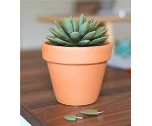 Yacriso 33pc 3D Printed Push Pin Succulent Set, Olive Green, Artificial, Indoor, Cute, Fun, Unique, Push Pin Plant, Succulent