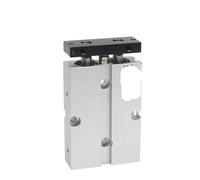 Yade Passenger Type Two-Rod Cylinder with Magnet Pneumatic Cylinder TN10X10S TN16X20S TN20X30S TN32X40S TN40X50S TN50X60S(TN10,20mm Stroke)