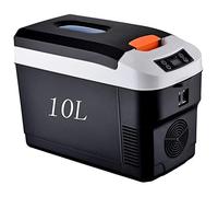 YADLCR Car Fridge, Electric Cool Box,10L Litre Freezer 12V 220V Portable Mini Travel Refrigerator Hot/cold Suitable for Truck Driver, Camping, Picnic Etc (Color : 1)