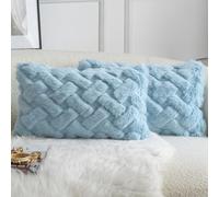 YAERTUN Set of 2 Decorative Cushion Covers Thick Plush Wool Pillows Covers Super Soft Luxury faux Rabbit Fur Velvet Throw Pillow Cases for Couch Sofa Bed Living Room 16x24 Inch 40x60 cm Light Blue