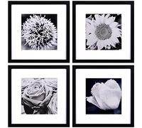 Yaetm 12x12 Picture Frames Black Set of 4, Square Frame Displays 8x8 with Mat or 12 x 12 without Mat, Gallery Wall Frames 12x12 for Wall Mounted (4 Pack, Black)