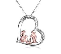 YAFEINI Sister Gifts Sterling Silver Always My Sister Forever My Friend Gifts Love Heart Friendship Necklace for Sister Big Sis Lit Sis Best Friend