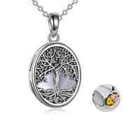 YAFEINI Tree of Life Locket Necklace 925 Sterling Silver Family Tree of Life Mother of Pearl Locket Necklace that Holds Pictures for Women Jewelry