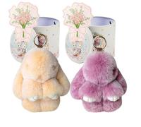 Yagerod Bunny Keychain with Tin Box, 2Pack Soft Plush Rabbit Key Ring, Cute Pompom Charm for Backpack, Handbag Ornaments (Style11)