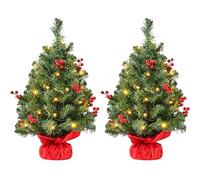 Yaheetech 2Pcs Frosted Christmas Tree, 35 Warm LED Lights, Berries, 2ft | 60cm Tabletop Artificial Xmas Tree | Stable Concrete Base | Red Berries | Festival & Home Decoration