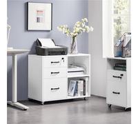 Yaheetech Large Office File Cabinet With 2 Drawers - White