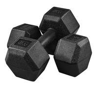 Yaheetech Weights Dumbbells Set of 2 Dumbbells Pair 2x4kg Hand Weights Set for Home Gym Workout Strength Training, Total Weight 8kg