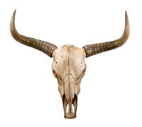 Yak Bull Skull Wall Decor - Highland Cow Skull Wall Hanging, Faux Longhorn Skull Handmade Simulation Large Bull's Head Taxidermy Wall Decor (Color : Brown)