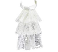 YAKEFJ Lace Jabot Necktie Ruffle Neckwear Collar, White Lace, One size