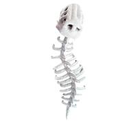 yakermur Dinosaur Headgear, Skeleton Costume, Realistic Animal Headgear And Spine, Funny Dinos-aur Skull For Adults And Kids Halloween Cosplay Lightweight Jumpsuit