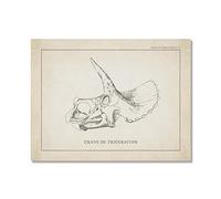 YakuWolf Vintage Dinosaur Skeleton Paleontology Wall Art Canvas Posters Dinosaur Fossils Art Prints Triceratops Sketches Pictures Boy Room Decor (SKU2,8"x12"(20 x30 cm),Unframed)