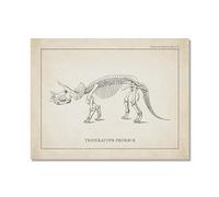YakuWolf Vintage Dinosaur Skeleton Paleontology Wall Art Canvas Posters Dinosaur Fossils Art Prints Triceratops Sketches Pictures Boy Room Decor (SKU8,11"x14"(28 x 35 cm),Unframed)