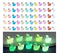 YALiya 60 Pcs Mini Resin Ducs, Cute Tiny Ducks With Sunglasses, Colorful Duck Decoration, for Dollhouse Decor Accessories Garden Micro Landscape Aquarium Potted Tiny Homes(12 Color )