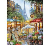 YALKIN Paint by Numbers for Adults, Painting by Number Kits On Canvas,Without Frame DIY Color Oil Painting Acrylic Paints,Home Wall Decor 40x50CM/16X20in