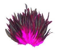 Yalulu 100PCS Natural Black Rooster Tail Dyed Feathers for Crafts Decorative Needlework Feathers for Craft DIY Wedding Decorations (Rose Red)