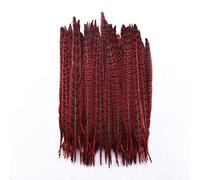 Yalulu 20PCS Natural Female Pheasant Tail Feather Dyed Feathers for Crafts Decorative Needlework Feathers (Red)