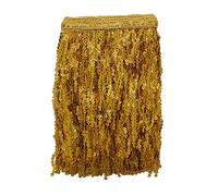 Yalulu 6.5 Yards/Lot 30CM Encryption Sequins Lace Tassel Fringe Trim for DIY Latin Dance Stage Costume Decor (Gold)