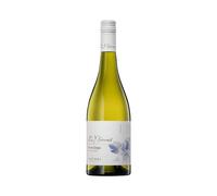 Yalumba Y Series Pinot Grigio