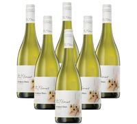Yalumba Y Series Sauvignon Blanc | Austrailia | White Wine | case of 6 bottles x 75cl | ABV 13.5%