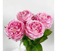 YalzoneMet Artificial Rose Flowers 4 Pcs Natural Real Rose Touch Faux 17.7 Inch Single Long Stem Austin Pink Roses Peonies Fake Flowers for Home Party Outdoor Wedding Decor Bridal Bouquet