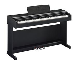 Yamaha Arius YDP-145B Digital Piano (Black)