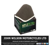 Hiflofiltro Air Filter - HFA4101