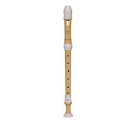 Yamaha Recorder (YRA-402B)
