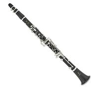 Yamaha YCL650 Professional Bb Clarinet