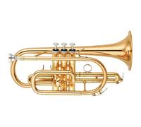 Yamaha YCR4330GII Intermediate Cornet Gold Lacquer
