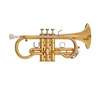 Yamaha YCR8620 Neo Soprano Cornet Gold
