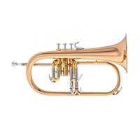 Yamaha YFH-631G Professional Flugel Horn