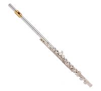 Yamaha YFL312 Student Model Flute Gold Lip Plate