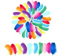 Yamobi 400 Pieces Colorful Feathers for Crafts, Natural Craft Feathers for Dream Catchers, Ostrich Feathers Decoration for Carnival, Hanging Feathers for DIY Bird Feathers