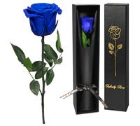 Yamonic Preserved Real Rose Gifts for Women, Single Red Blue with Stem | Birthday Gift For Women, Eternal Flower Gift for Mum,Flower Presents for Wife,Valentines Christmas Rose Gifts for Girlfriend