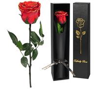 Yamonic Preserved Real Rose Gifts for Women, Single Red Rose with Stem