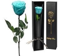 Yamonic Preserved Real Rose Gifts for Women, Single Red Rose with Stem