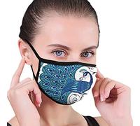YAMYO Fantasy Bird Face Mask Men Womens Kids Teens Print Comfy Washable Reusable Nose -Cover For Cosplay