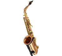 Yanagisawa AWO2 Alto Saxophone Bronze