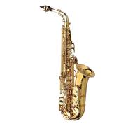 Yanagisawa AWO30 Alto Saxophone Silver Body Brass Bow and Bell