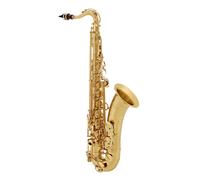 Yanagisawa TWO1 Tenor Saxophone Brass