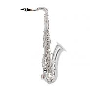 Yanagisawa TWO1S Tenor Sax Silver Plate