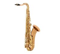 Yanagisawa TWO20 Tenor Saxophone Bronze Body