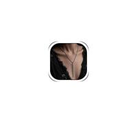 YANCHUN Punk Back Chain Necklace Gothic Spiked Choker Black Barbed Wire Necklace Punk Goth Accessories Back Jewelry for Backless Dress Y2K Gifts for Women