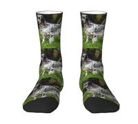 YANDM English Setter Lawn Pets Dogs English Setter, Crew Socks Compression Socks Casual Novelty Sports Socks For Unisex