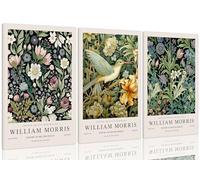 Yaneiro Framed William Morris Wall Art Set of 3 Vintage Botanical Birds Posters Print Wall Decor Suitable for Living Room Dining Room Bedroom Office Decor 12x16in