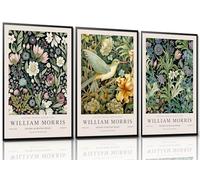 Yaneiro William Morris Wall Art Set of 3 Vintage Botanical Birds Posters Print Wall Decor Suitable for Living Room Dining Room Bedroom Office Decor 16x24in Unframed