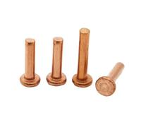 YANGC 1-50pcs GB109 Copper Solid Rivets Knock Flat Head Rivet Brass M1.5 M2.0 M3 M4 M5 M6 M8(M5 2pcs,12mm)